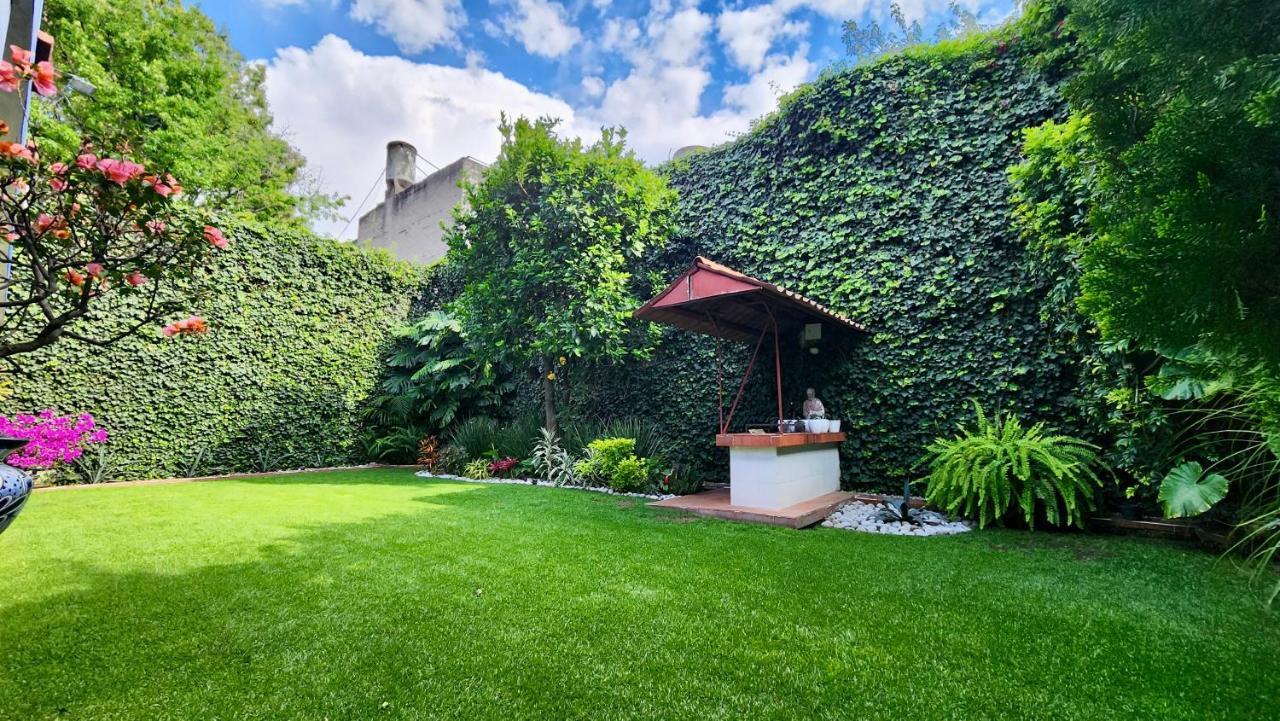 מקסיקו סיטי Casa Tamayo מראה חיצוני תמונה