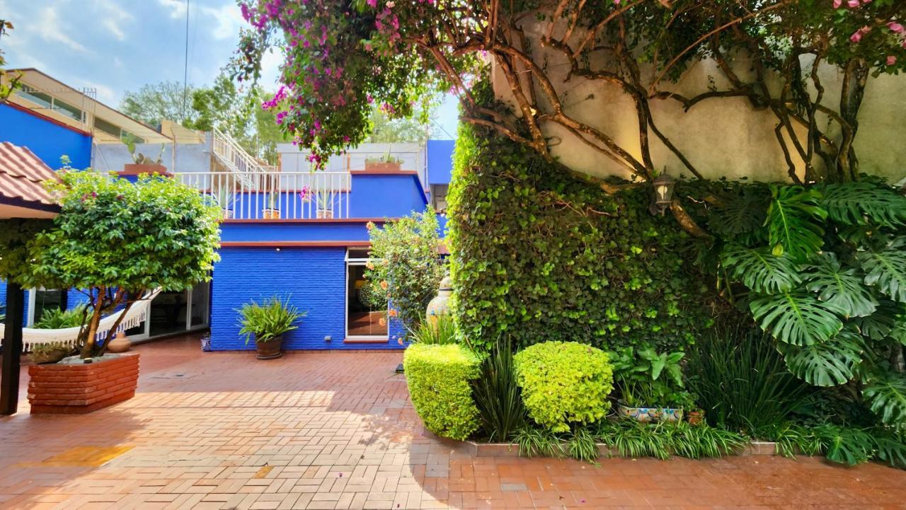 מקסיקו סיטי Casa Tamayo מראה חיצוני תמונה
